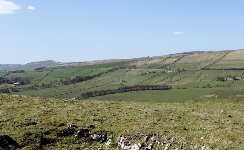 Brown Knoll